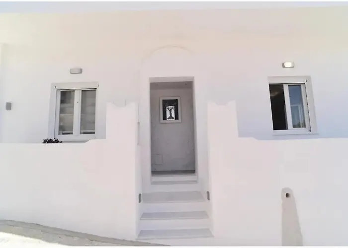 Galini's Heaven - Naxos Island شقة